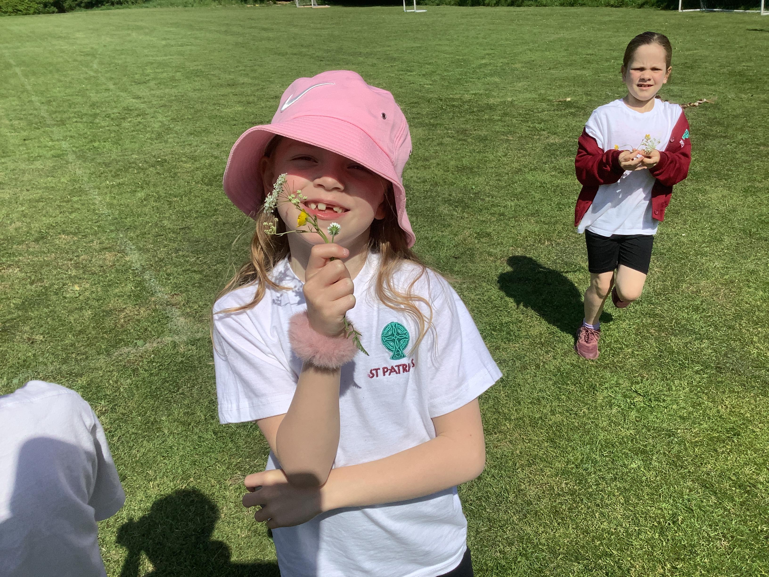 Picking flowers for our investigation on how water is transported throughout a plant.